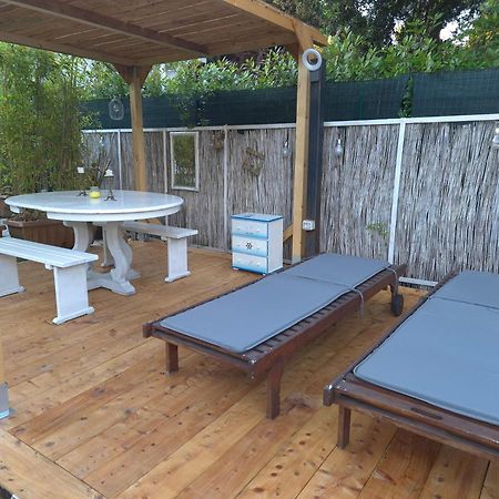 Domusauroom, Relax Nel Cuore Della Versilia - Pet Friendly ヴィアレッジョ エクステリア 写真