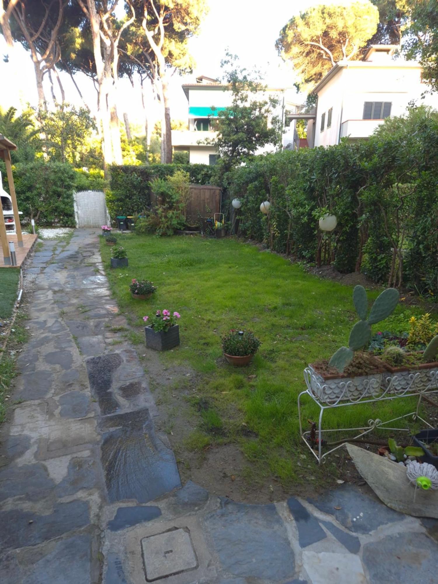 Domusauroom, Relax Nel Cuore Della Versilia - Pet Friendly ヴィアレッジョ エクステリア 写真
